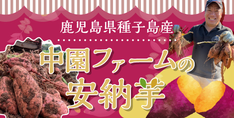 鹿児島県種子島産　中園ファームの安納芋